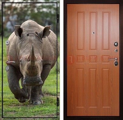 Металлическая дверь с фотопечатью носорога ДФ-31 в Рязани