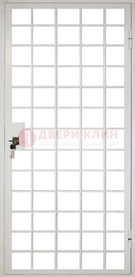 Белая металлическая решетчатая дверь ДР-2 в Рязани