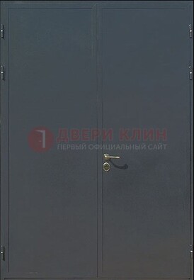 Двухстворчатая техническая дверь ДТ-5 в Рязани