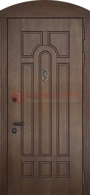 Коричневая стальная дверь с виноритом в форме арки ДВТ-237 в Рязани